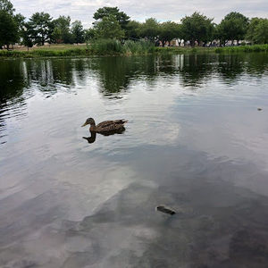 Meet your Posher, Alexandra